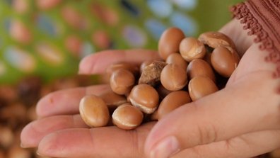 Kerastase Ingredients - Argan oil